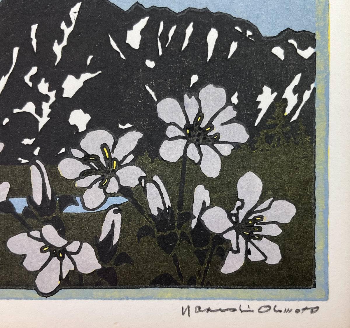 Amazon.co.jp: 真作《木版画》大本靖「ミヤマリンドウ」鉛筆