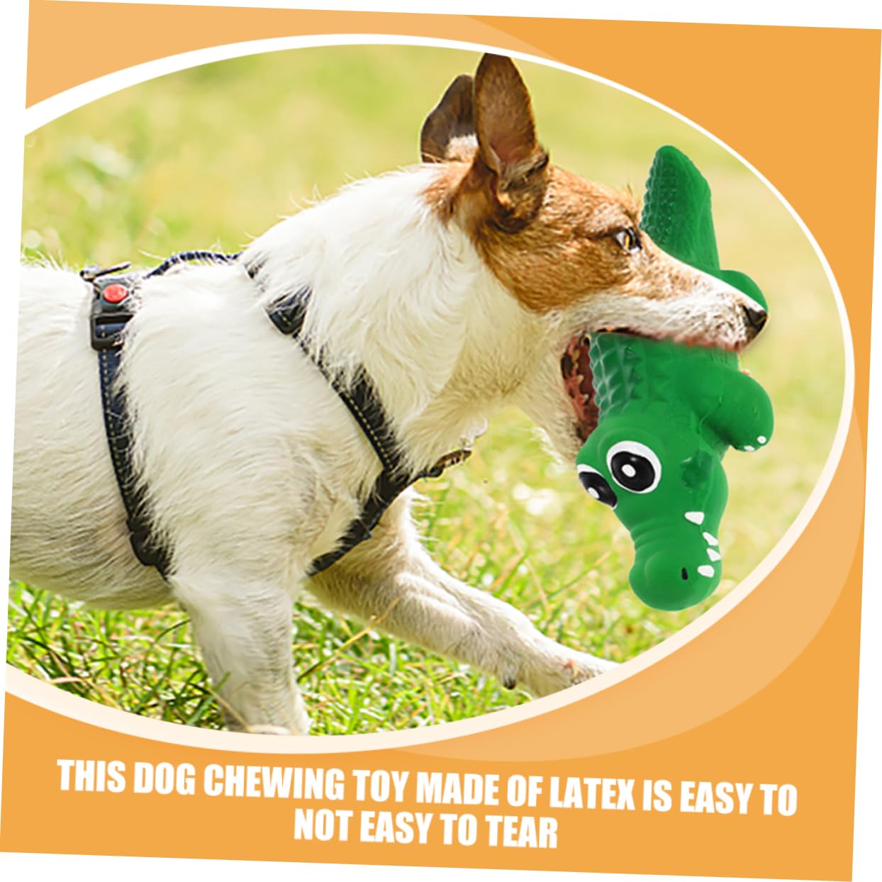 INOOMP 10pièces Jouet à Mâcher pour Chien Jouet Squeaky Interactif Forme De pour Chiots Et Petits Chiens