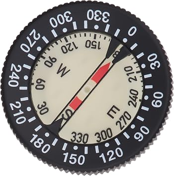 Blue Reef Nano Compass Module