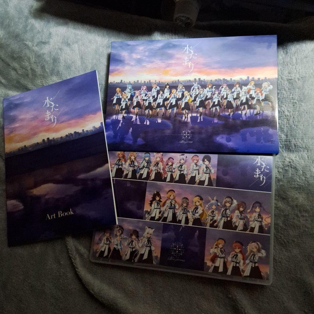 オージープランツ2株セット❗️ グレビレア　ガウディチャウディとブロンズランバー⭐︎ オージープランツ2株セット❗️ グレビレア ガウディチャウディと