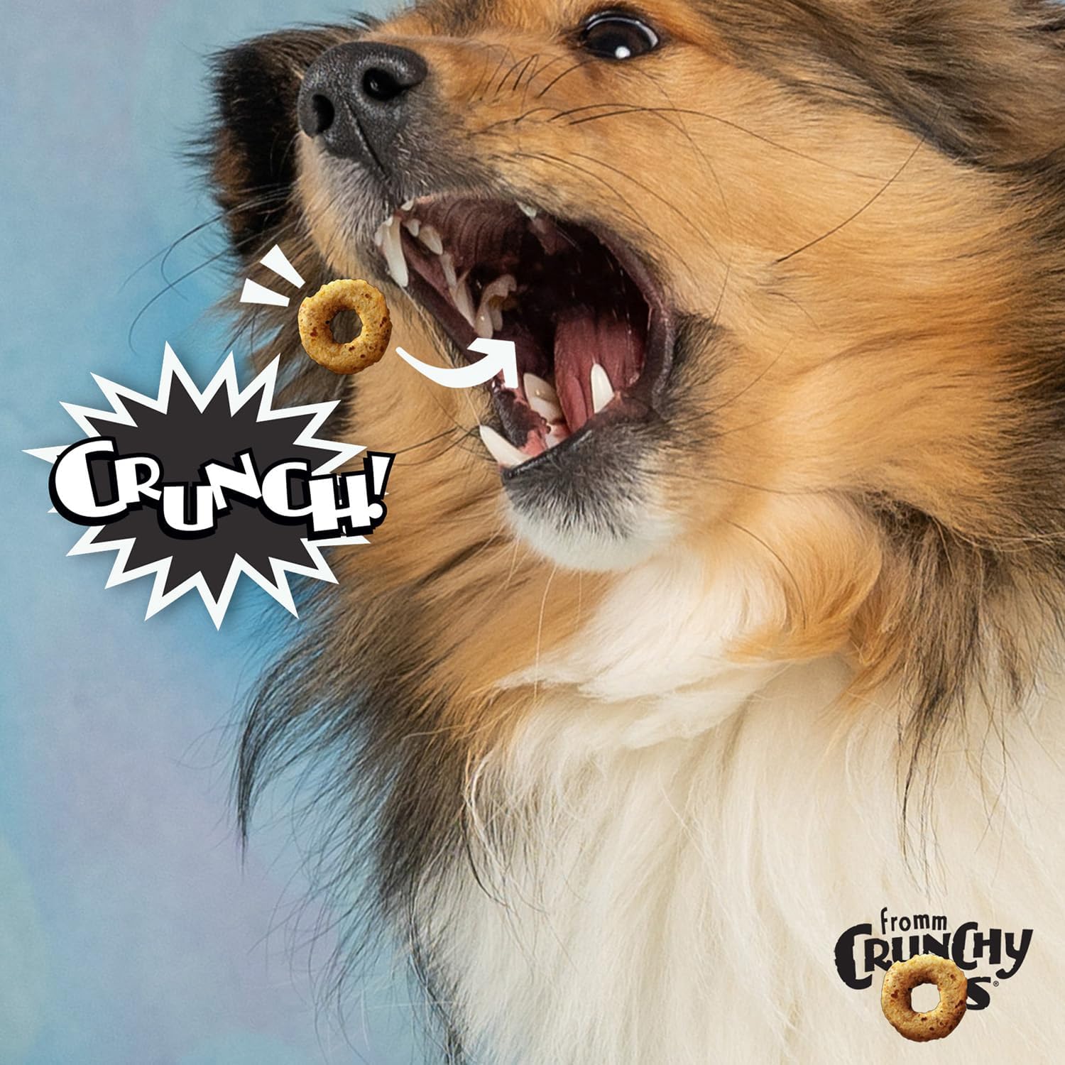 Fromm Crunchy Os Bacon Blasters Flavor Dog Treats - Premium Crunchy Dog Treats - Bacon Recipe - 26 oz