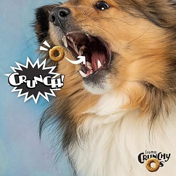 Fromm Crunchy Os Bacon Blasters Flavor Dog Treats - Bacon Recipe - 6 oz
