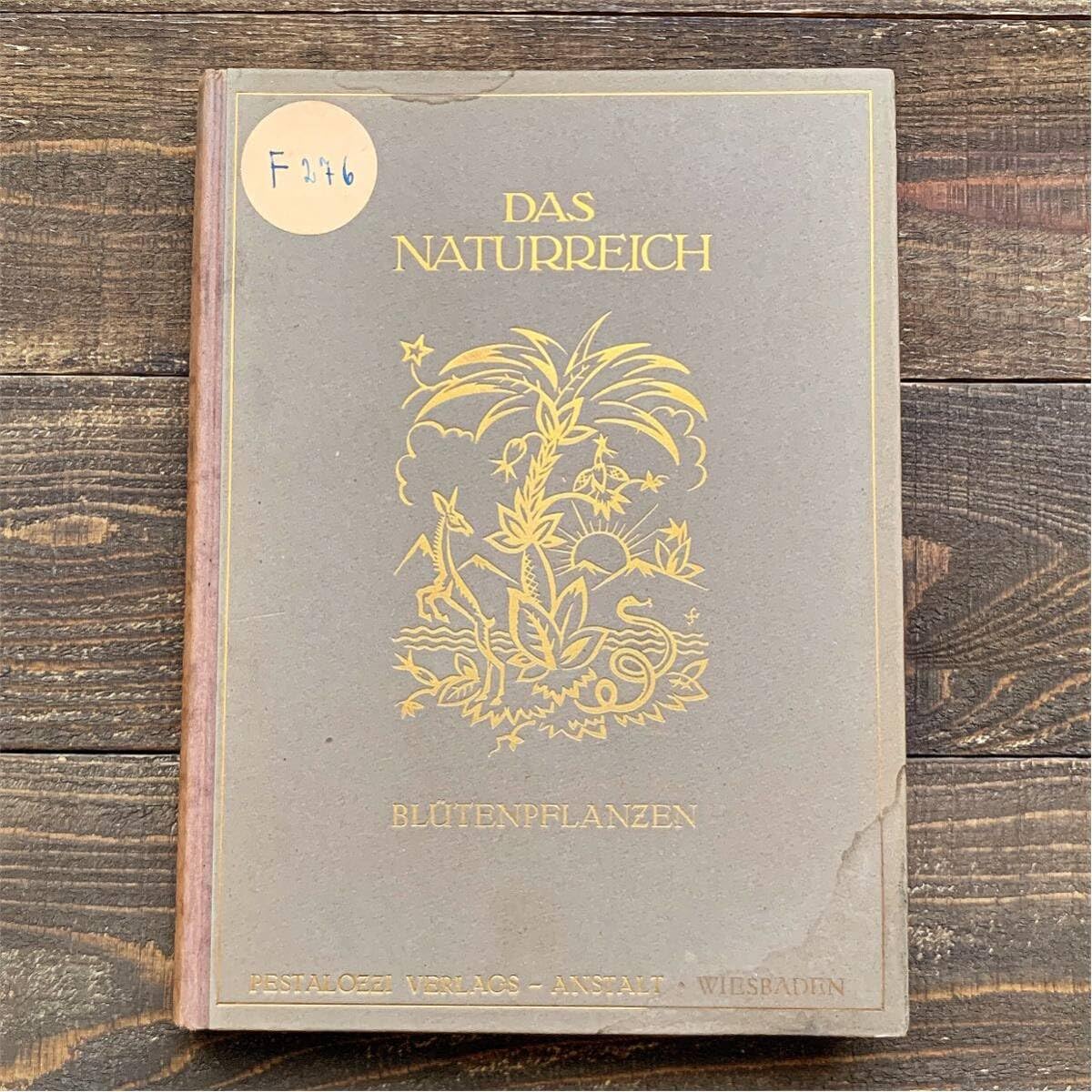 Amazon.co.jp: [難あり]ドイツの古い植物図鑑(DIE BLUTENPFLANZEN 1921