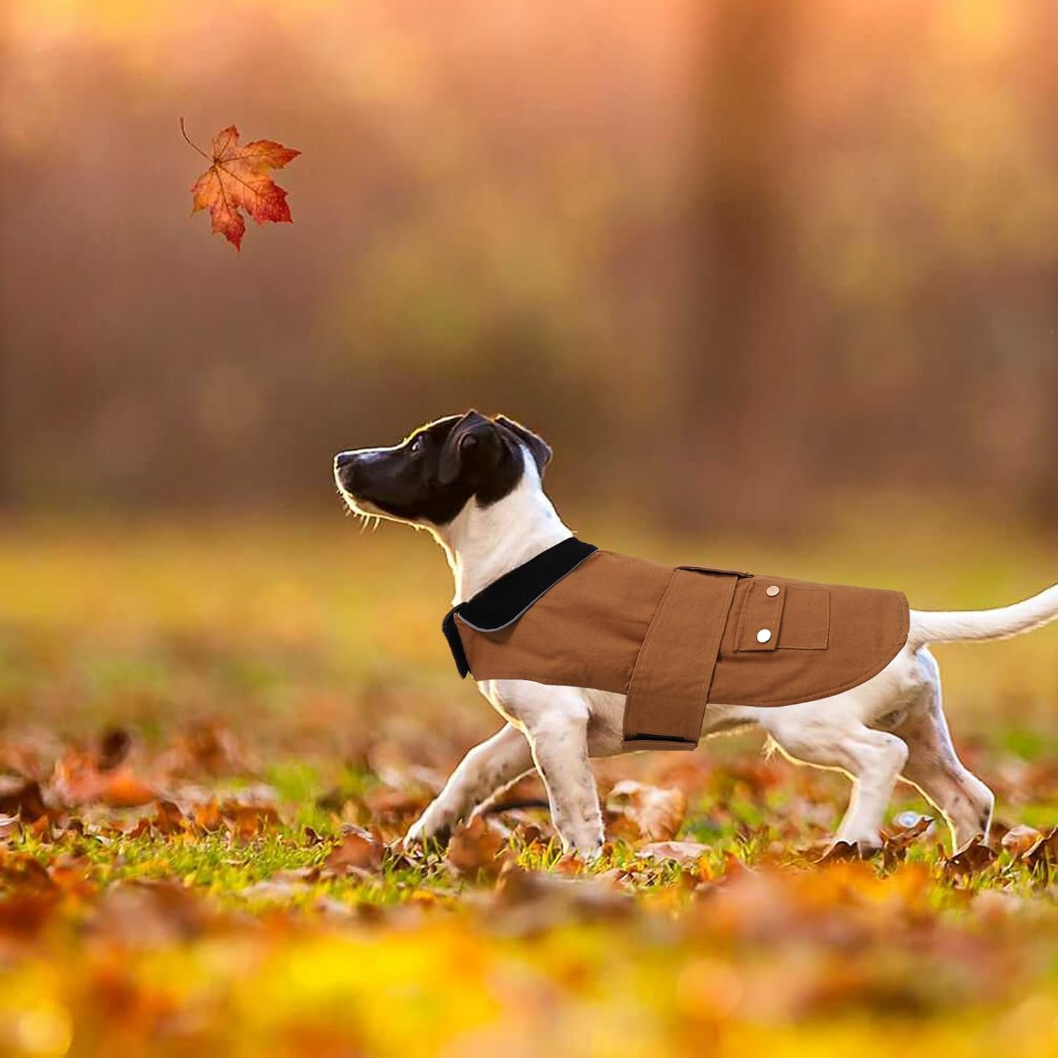 Faihats Warm Dog Jacket,Waterproof Dog Coat,Coats for Dogs