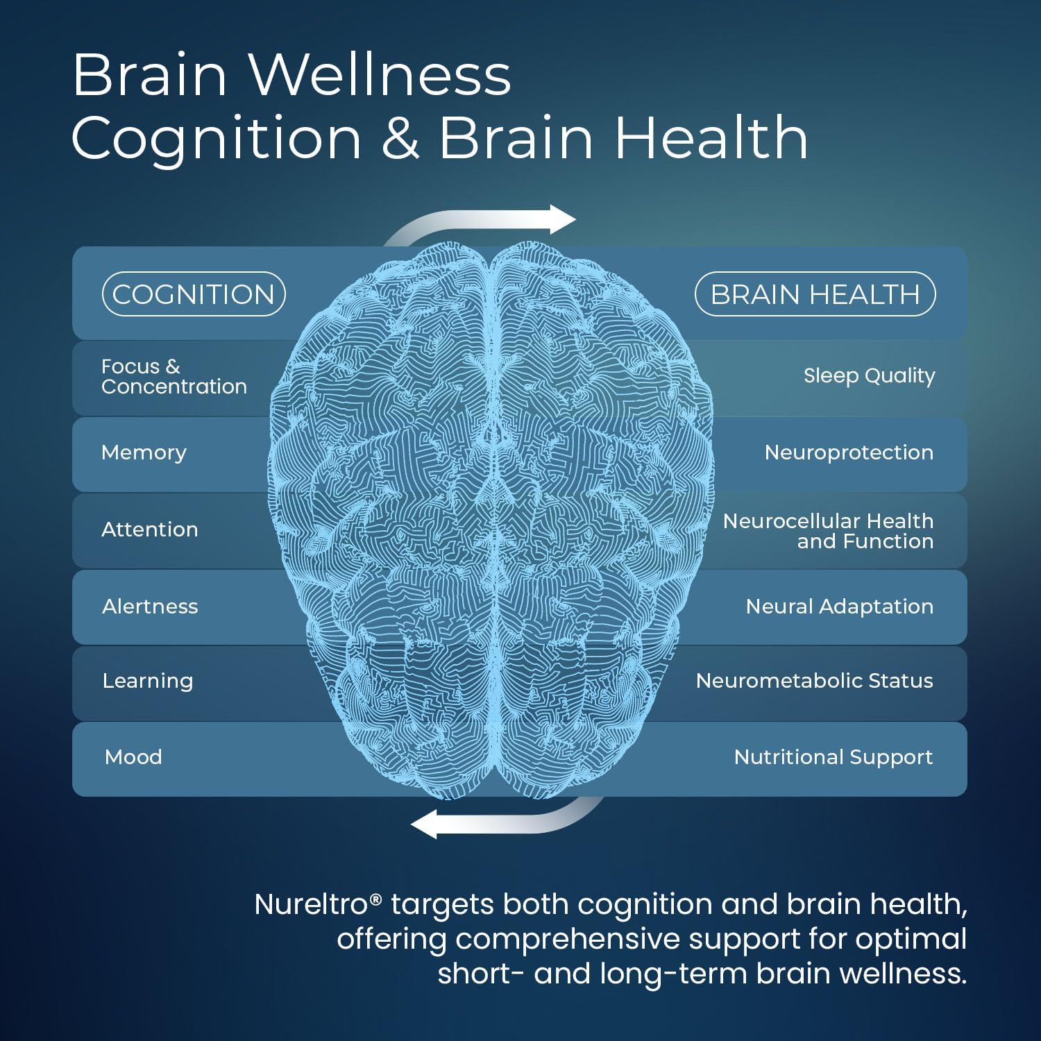 All-in-One Nootropic Brain Supplement for Adults and Seniors w/Shoden® Ashwagandha | Supports Memory, Focus, Mood, Mental Clarity, and Brain Health - Caffeine-Free (120 Capsules) - Image 4