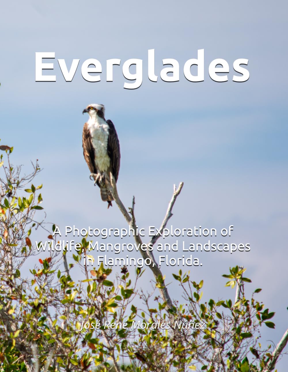 Everglades: A Photographic Exploration of Wildlife, Mangroves and Landscapes in Flamingo, Florida. (Respira)
