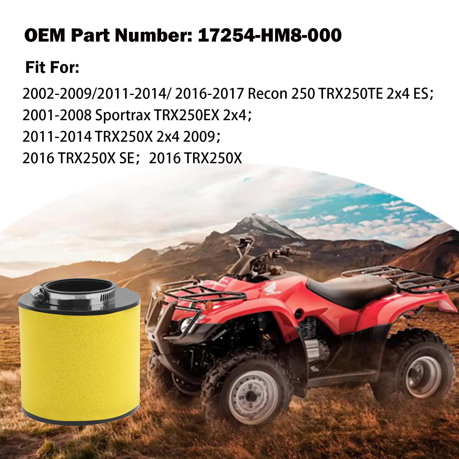 Air Filter + Oil Filter + Spark Plug Kit For Honda TRX250 Recon / FourTrax / Sportrax 250 – OEM 17254-HM8-000, Unbranded