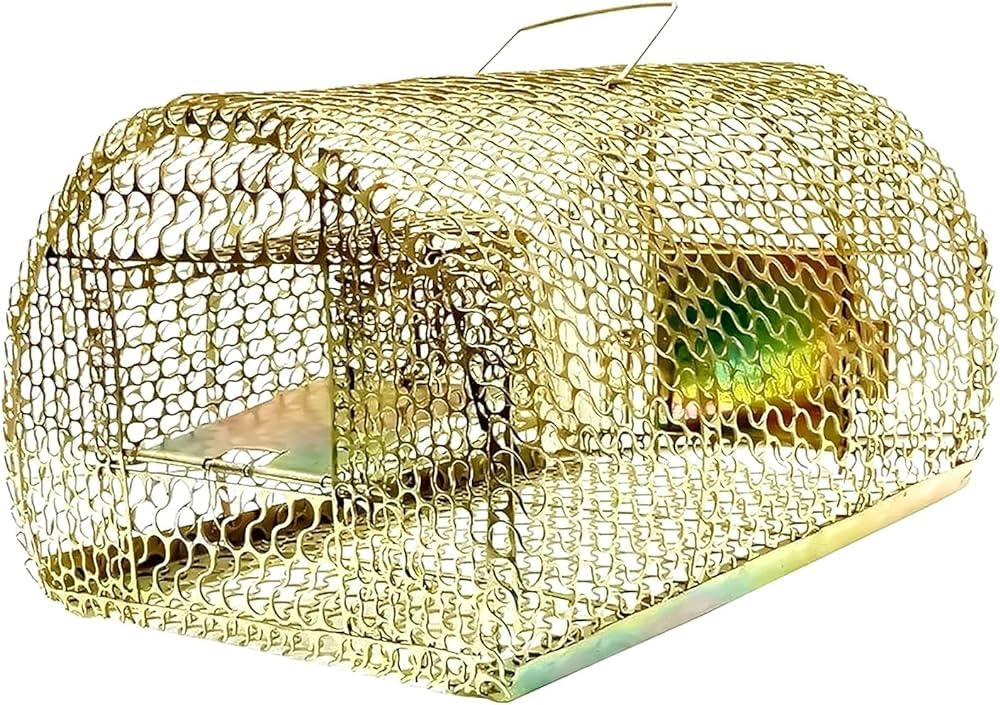 DIVY ORGANICS Pest Trap Cage || Best Trap for Rat Squirrel Rodents || Cruelty-Free || Durable || Heavy Quality (Model 2) (B0CJHZY5V7) Amazon Price History, Amazon Price Tracker