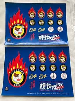 嵐 - 非売品 レア 木更津キャッツアイ 垂れ幕 71zfncNOGHL._UF350,350_QL50_.jpg