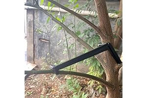 50-Piece Branch Spreaders for Enhanced Structural Growth