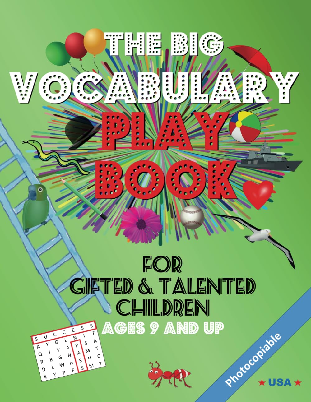 The Big Vocabulary Play Book for Gifted & Talented Children: Ages 9 and Up