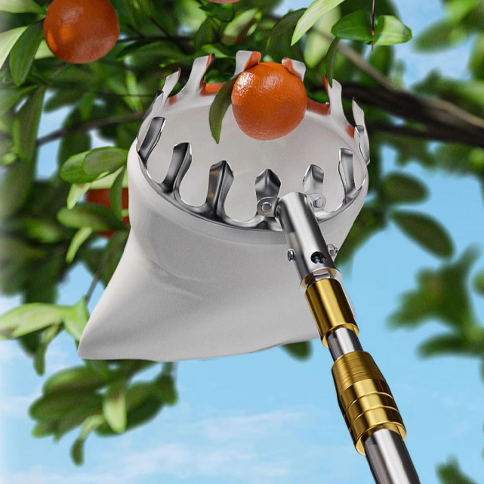 Obstpflücker-Werkzeug, Obstpflück-erntemaschine Mit Ausziehbarer Teleskopstange Und Rutschfestem Griff, Obstpflückausrüstung for Die Ernte Von Birnen, Zitronen Und Orangen(19.7ft)