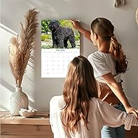 Vista 698 de Razas de Perros 2017