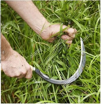 Depolife Garden Vineyard Pruning Shears Tree Branch Cutting Saw Weed Sickle Bush Scythe 4-Piece Garden Set