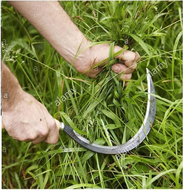Depolife Garden Vineyard Pruning Shears Tree Branch Cutting Saw Weed Sickle Bush Scythe 4-Piece Garden Set