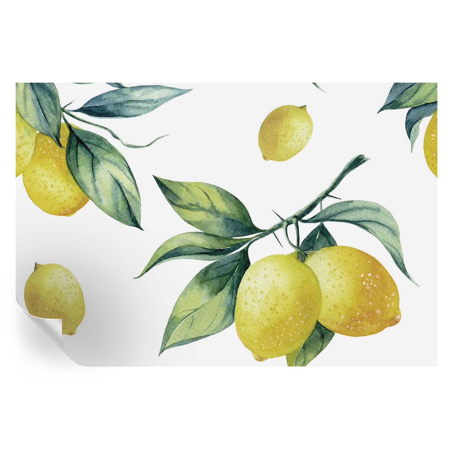 Papel pintado autoadhesivo de pasillo 104x70 cm con estampados e ilustraciones de limón