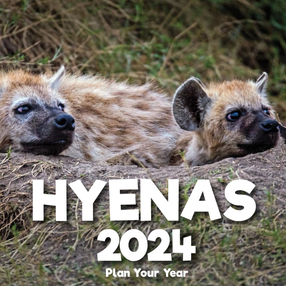 Plan Your Year 2024 Hyenas: Planning is the key to success, Organize Your Year with monthly, and weekly planning for Hyenas enthusiasts as New Year 2024 gifts