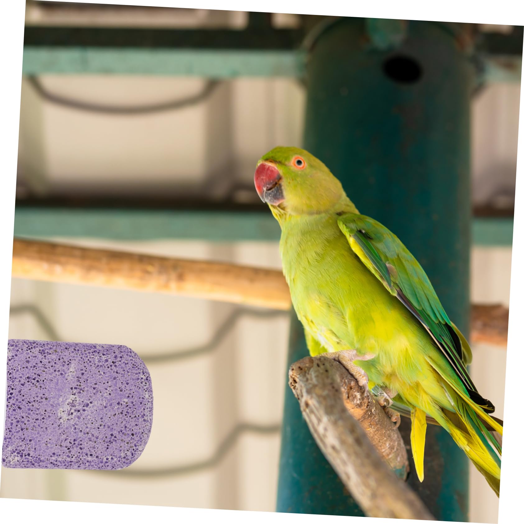 Yardwe 5stücke Bird Cage Mounted Perch Stand Für Vögel Paw Grinding Perch Für Wellensittiche Und Papageien Installieren Praktisch Und Vogelkäfig Zubehör Für Spiel Und