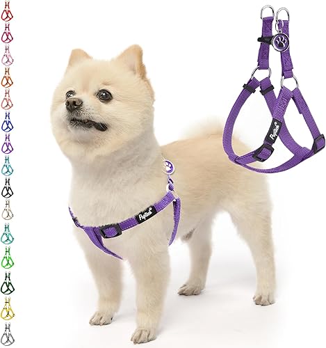 Miniatura 26 de PUPTECK Arnés para perro sin tirones, suave y ajustable, de nailon básico, chaleco para cachorros para caminar al aire libre con etiqueta