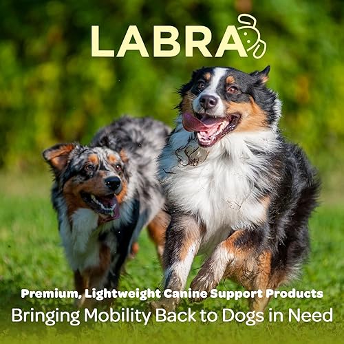 Miniatura 6 de Labra Soporte de pierna delantera para perro, envoltura de compresión con correas ajustables, muñequera para perro para apoyo, manga para piernas