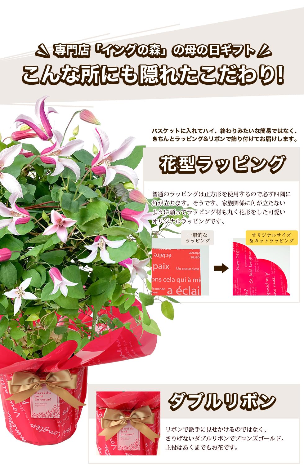 Amazon.co.jp: 母の日 2026 ギフト プレゼント 花 豪華クレマチス 6号