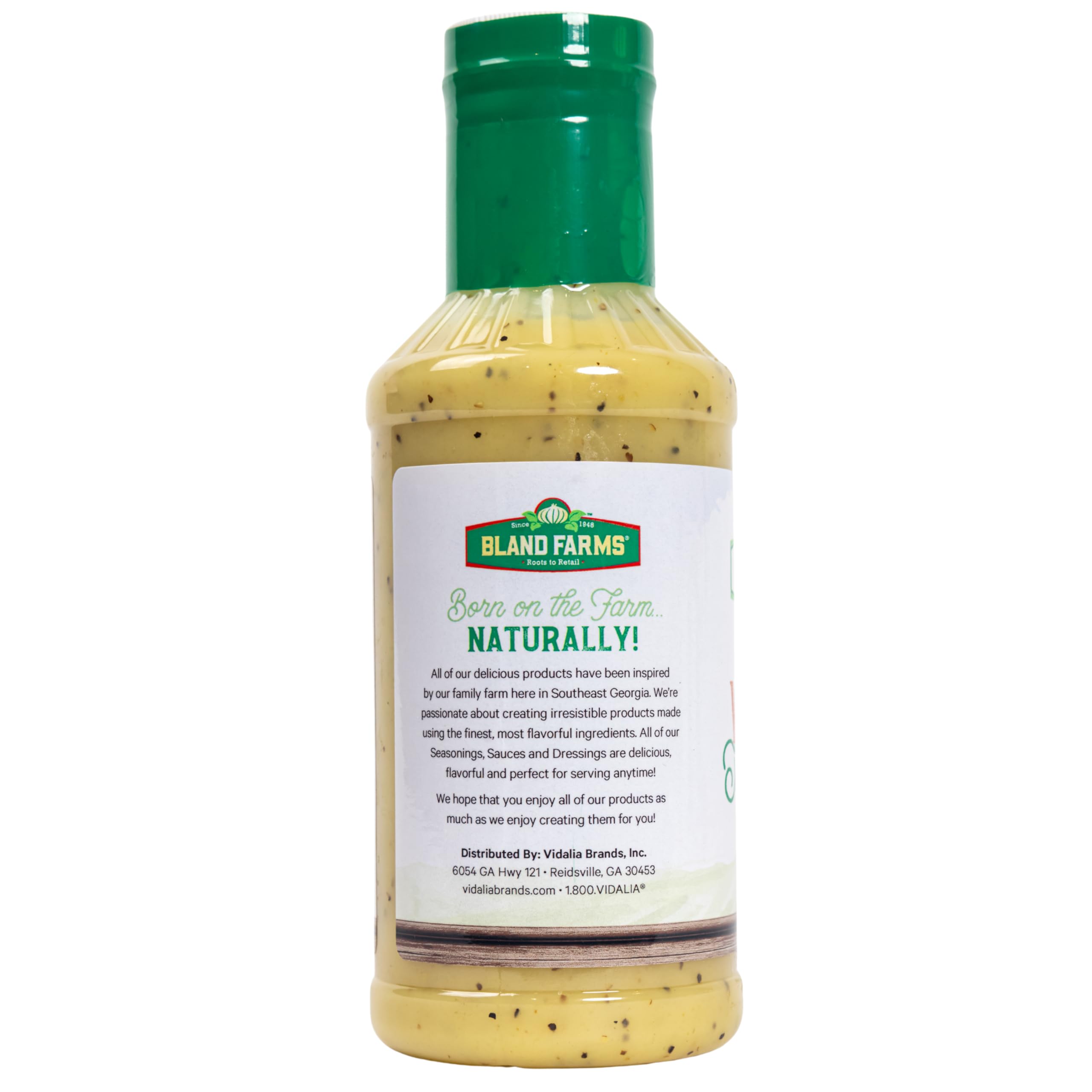 Amazon.com : Vidalia Brands Creamy Vidalia Sweet Onion Dressing - 16 oz :  Grocery & Gourmet Food