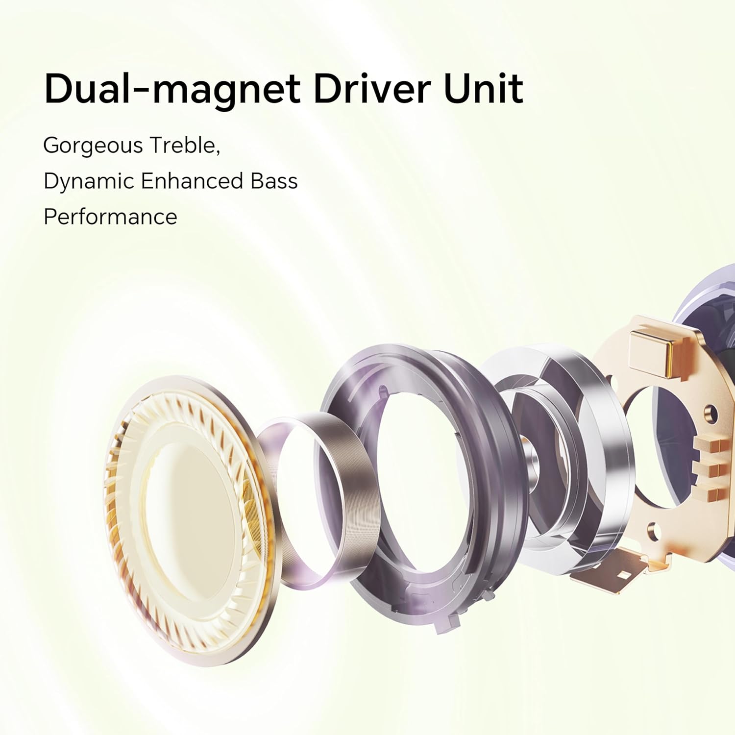 Dual-magnet Driver Unit Diagram