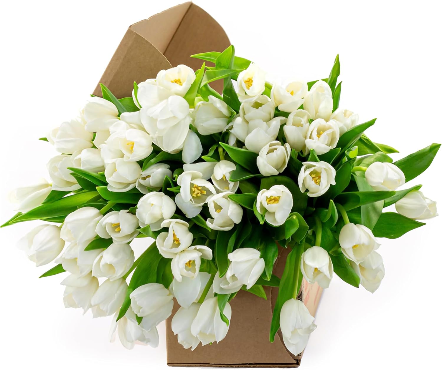 BloomsyBox: Pure White Tulips, 50 Stunning Stems, Bright Tulip, Farm Fresh Flowers | Care Card & Flower Food Included | | Perfect for Weddings, Anniversary, Birthday, Decoration.