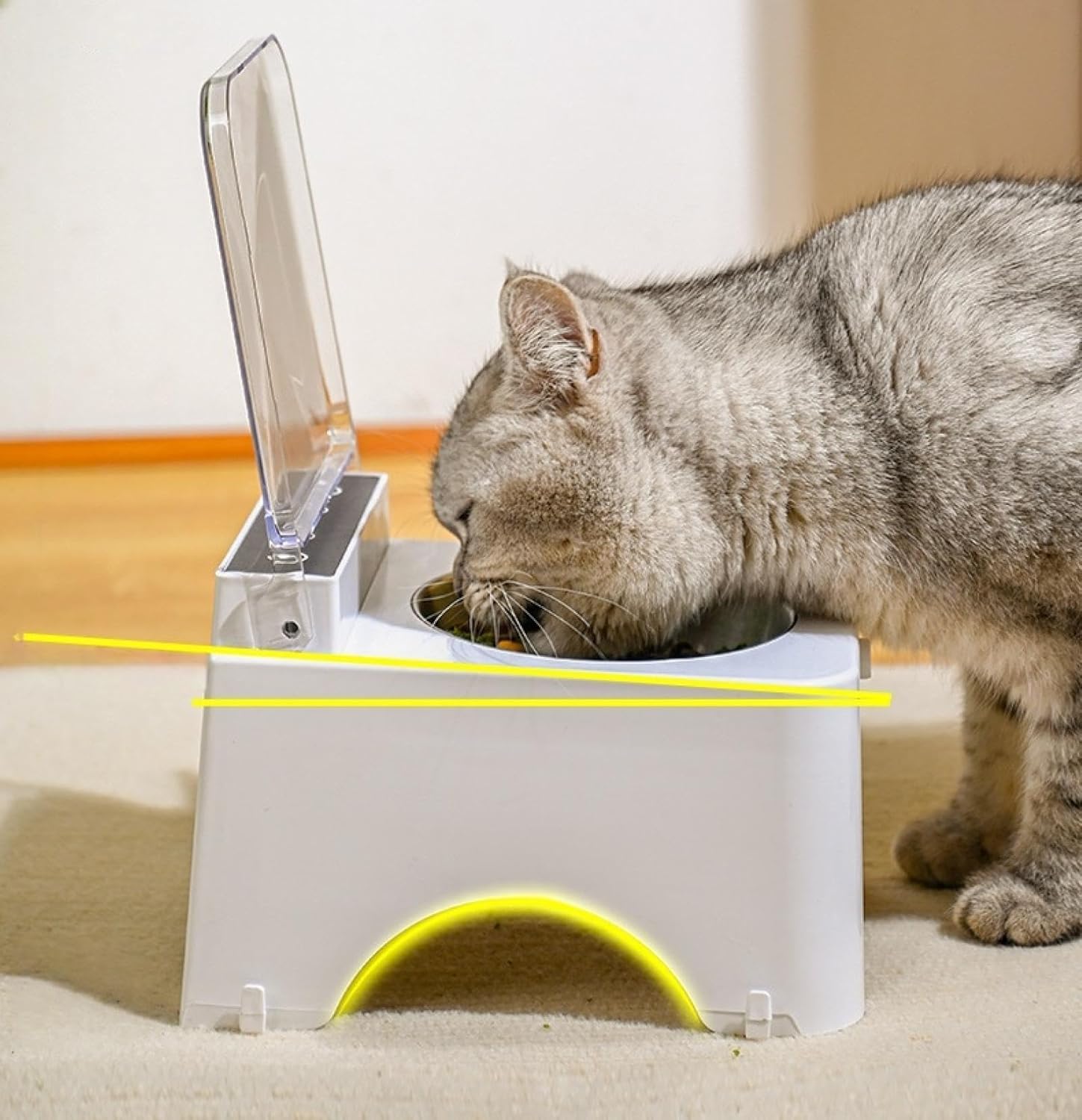 赤外線センサー付き自動蓋付きスマートキャットボウル - 猫と犬用のネズミ対策ペットフィーダーフードディスペンサー ステンレス鋼