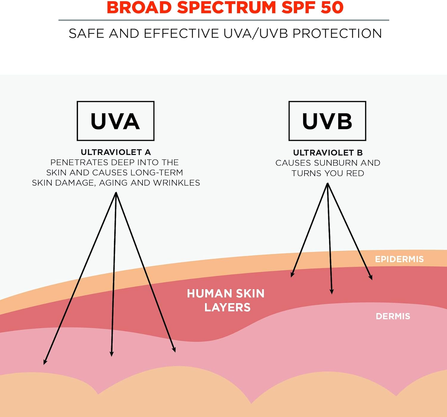 Ergodyne KREW’D 6353 Sunscreen Spray, Broad Spectrum SPF 50, Water Resistant, 5.5 oz(5.5 Ounce (Pack of 12))