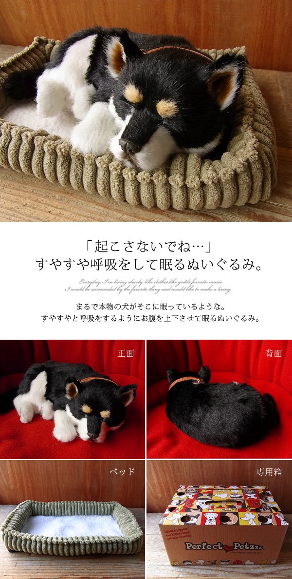 Amazon.co.jp: ニニアンドキノ パーフェクトペット (小サイズ