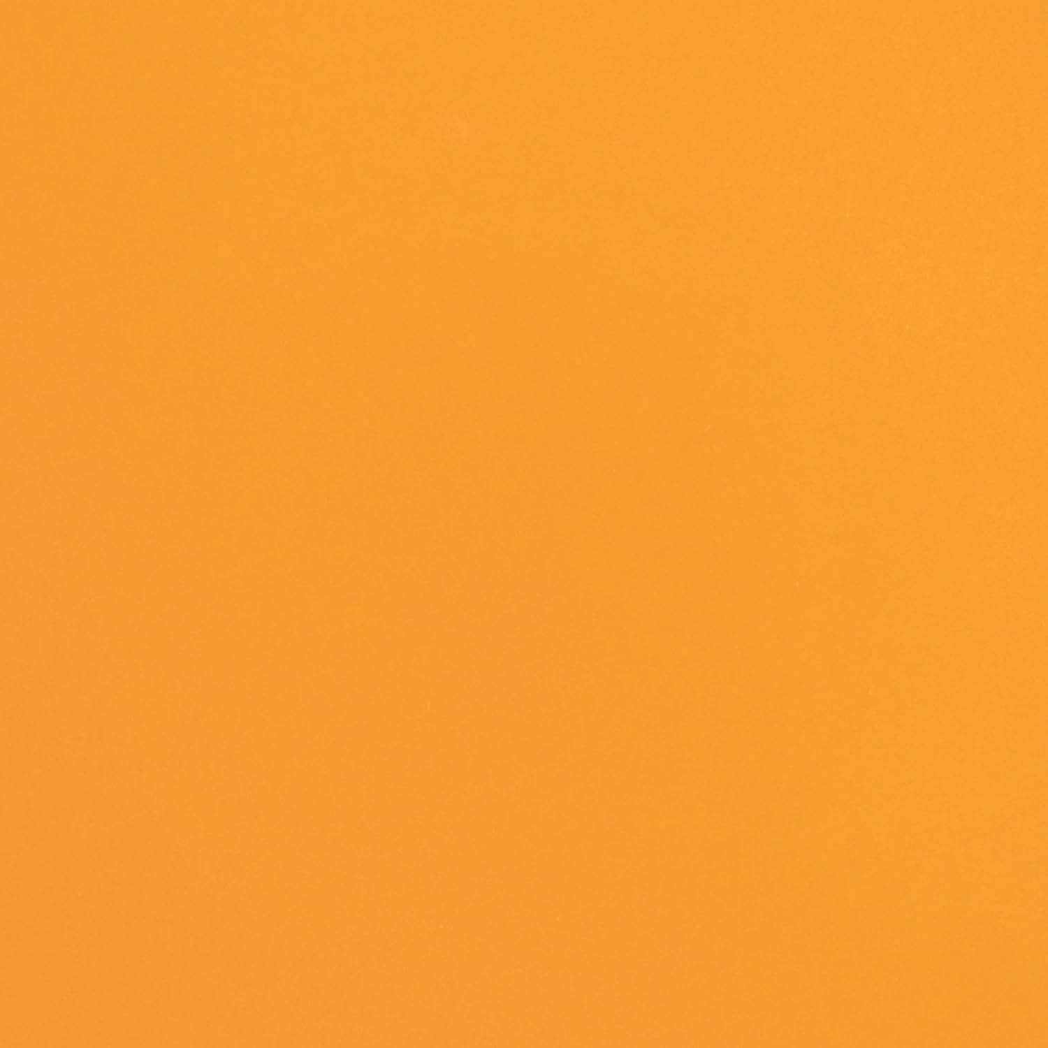 Round & Square 9.5" Salad Plate 4 Piece Set (Set of 4) Color: Lemon Zest