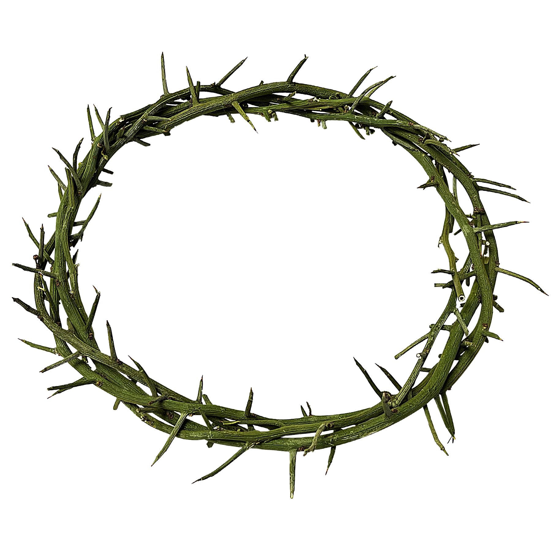 Amazon.com: Crown of Thorns Wearable Plastic Thorn Crown, 7.5-8