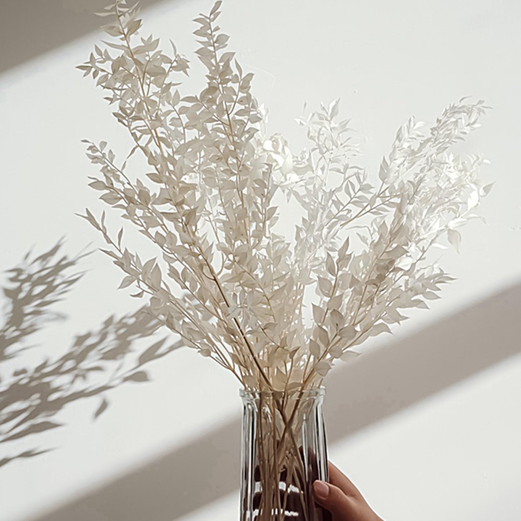 24 Pièces 45 cm Séchées pour Toujours Conservées Ruscus Fleurs Bricolage Décoration Florale Bouquet de Fleurs Sèches pour Mariage Décor à