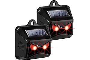 Solar Animal Deterrents: Your Reliable Defense Against Raccoons