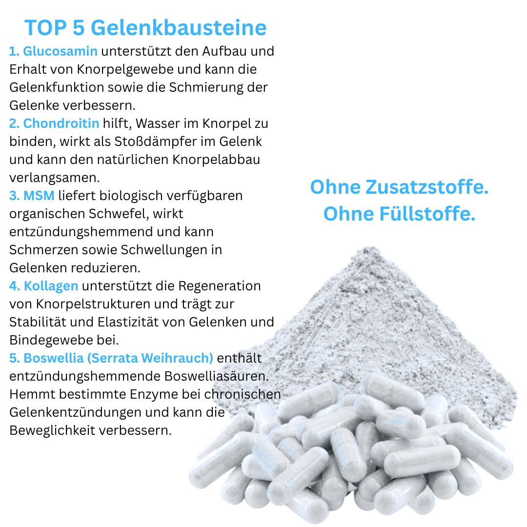 Knorpelaufbau KNORPEL & GELENKE Komplex 360 (3x120) Kapseln - ArthroWell TOP-5 Gelenkbausteine Gelenkkapseln mit Glucosamin, Chondroitin, MSM, Kollagen, Weihrauch. OHNE ZUSATZSTOFFE 26444-3