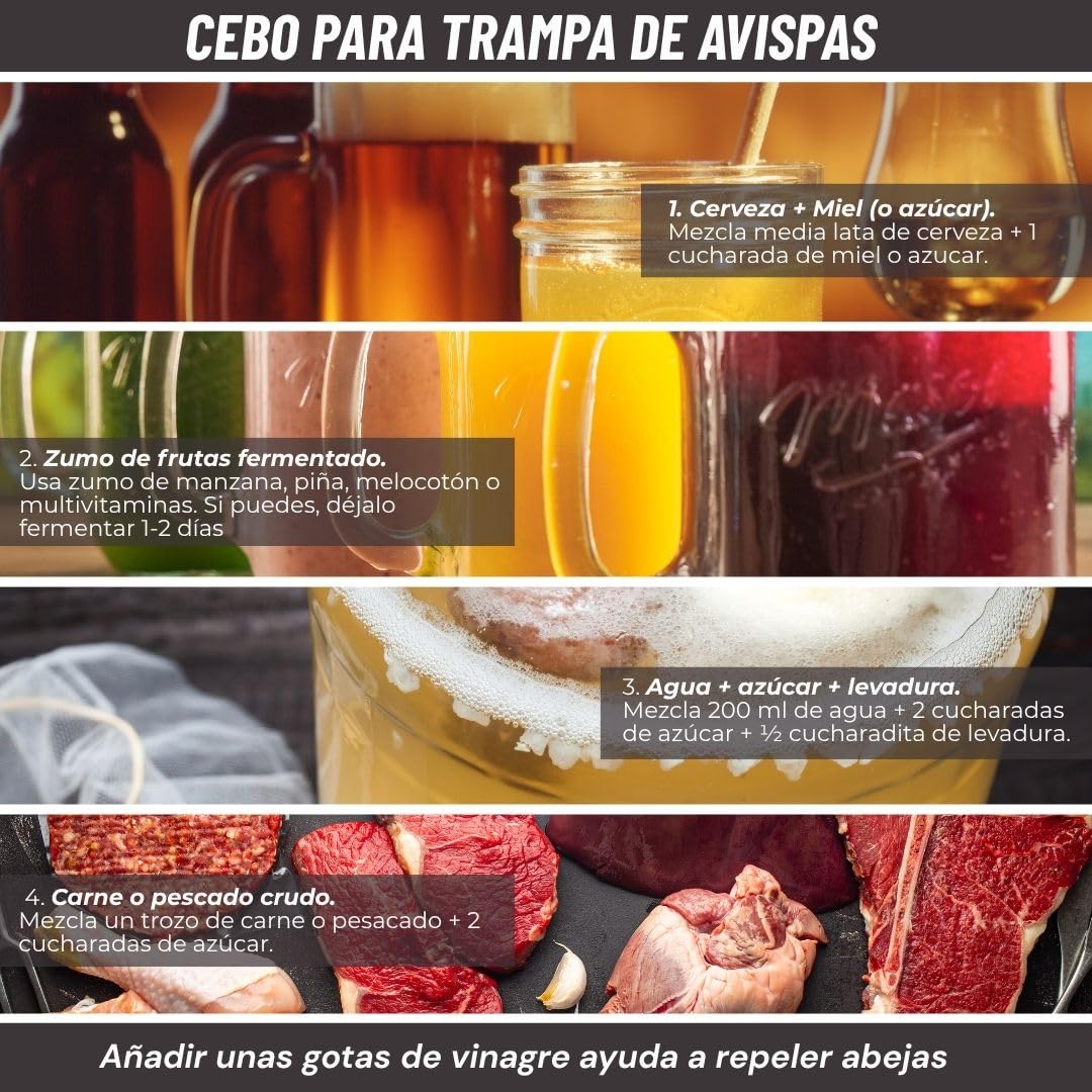 Trampas para Avispas Exterior | Trampa para Colgar o posicionar | Solución Antiavispas | Trampa Reutilizable contra Avispa | sin Cebo atrayente de Avispa | ecológica.