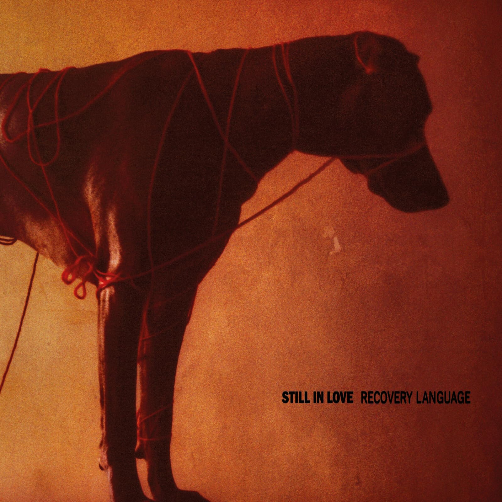 Still In Love Recovery Language CD CRR245CD NEW