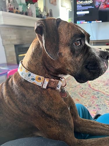 Miniatura 4 de Elegant little tail - Collar ajustable para mascotas, lindo y duradero, diseño de girasoles, para verano y otoño, regalo para perra de tamaño mediano