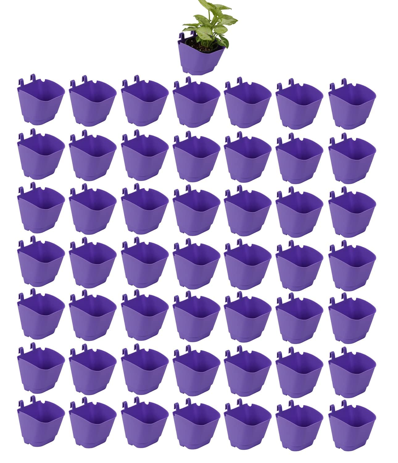 CAPPL Vertical Garden Wall Hanging Pot (Violet) (Pack of 50) (B0B38RG87M) Amazon Price History, Amazon Price Tracker