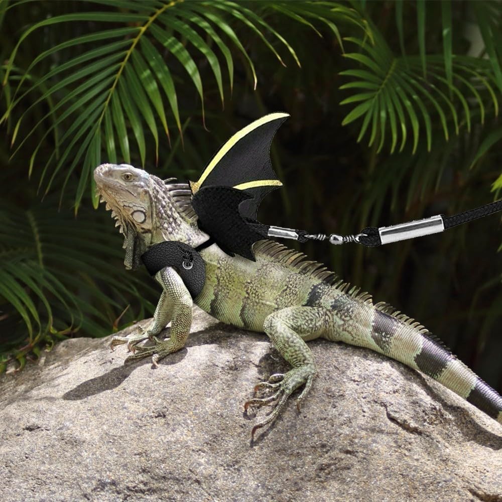 Harnais de Laisse de Reptiles,Lot de 3 Ailes Réglables pour Les Reptiles de Lézard de Dragon Barbu Marche de Sécurité en Plein Air