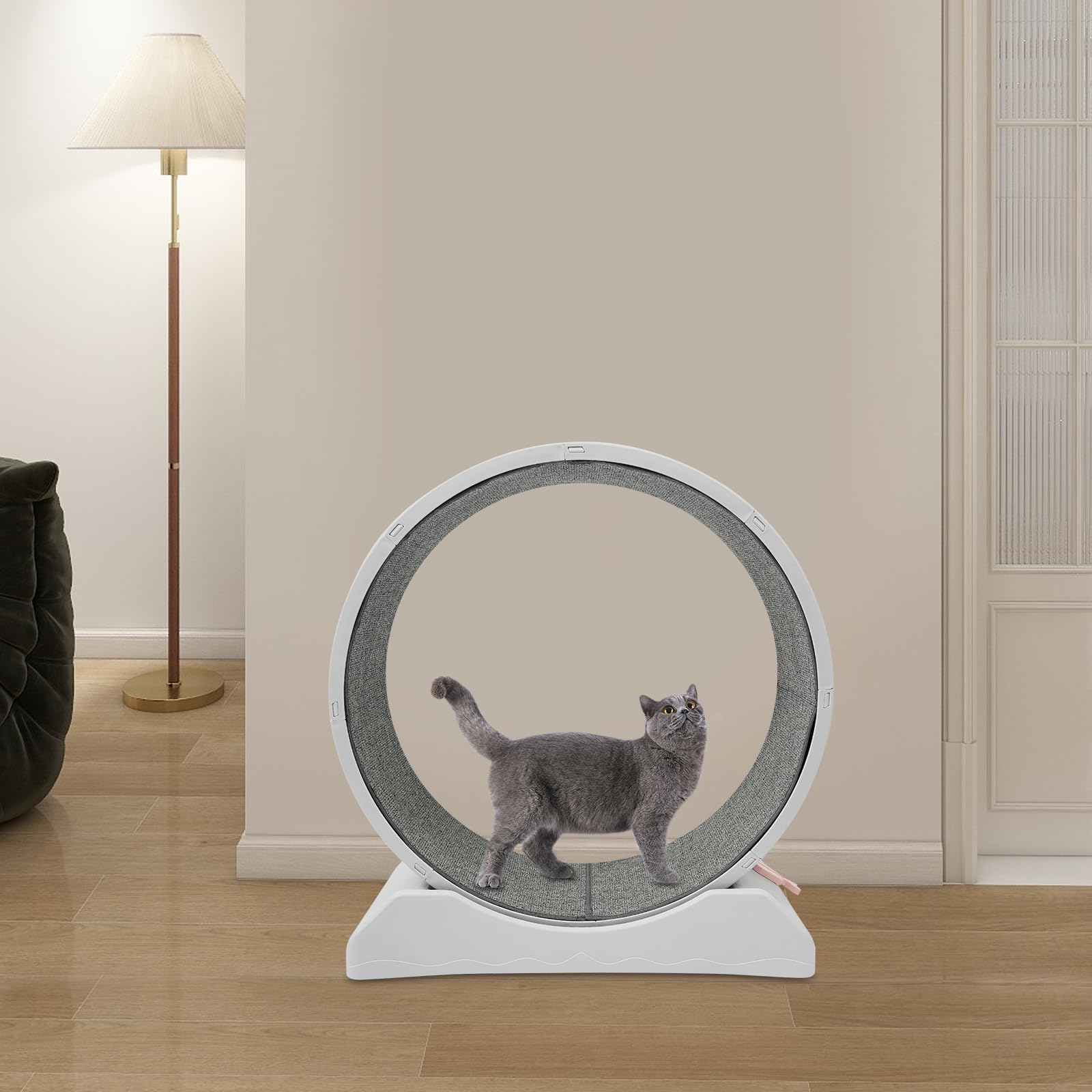 Rueda para gatos XXL 80 cm, rueda silenciosa para gatos de hasta 10 kg, con alfombra extraíble y candado de seguridad para diversión interactiva