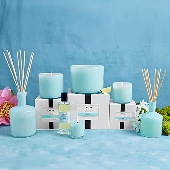 Amazon.com: LAFCO New York Odor Removing Room Mist, Marine