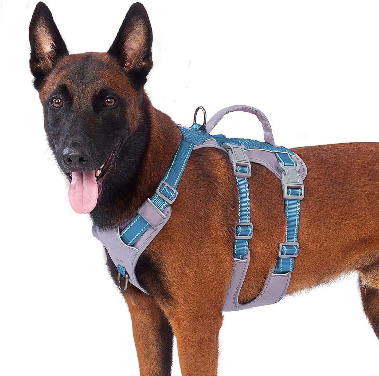 Reflective Dog Harness with Handle, Escape Proof, No Slip, Breathable, Lightweight, Adjustable Lift Harness for Small, Medium, and Large Dogs Walking, Training, and Running Gear(Teal Blue,L)