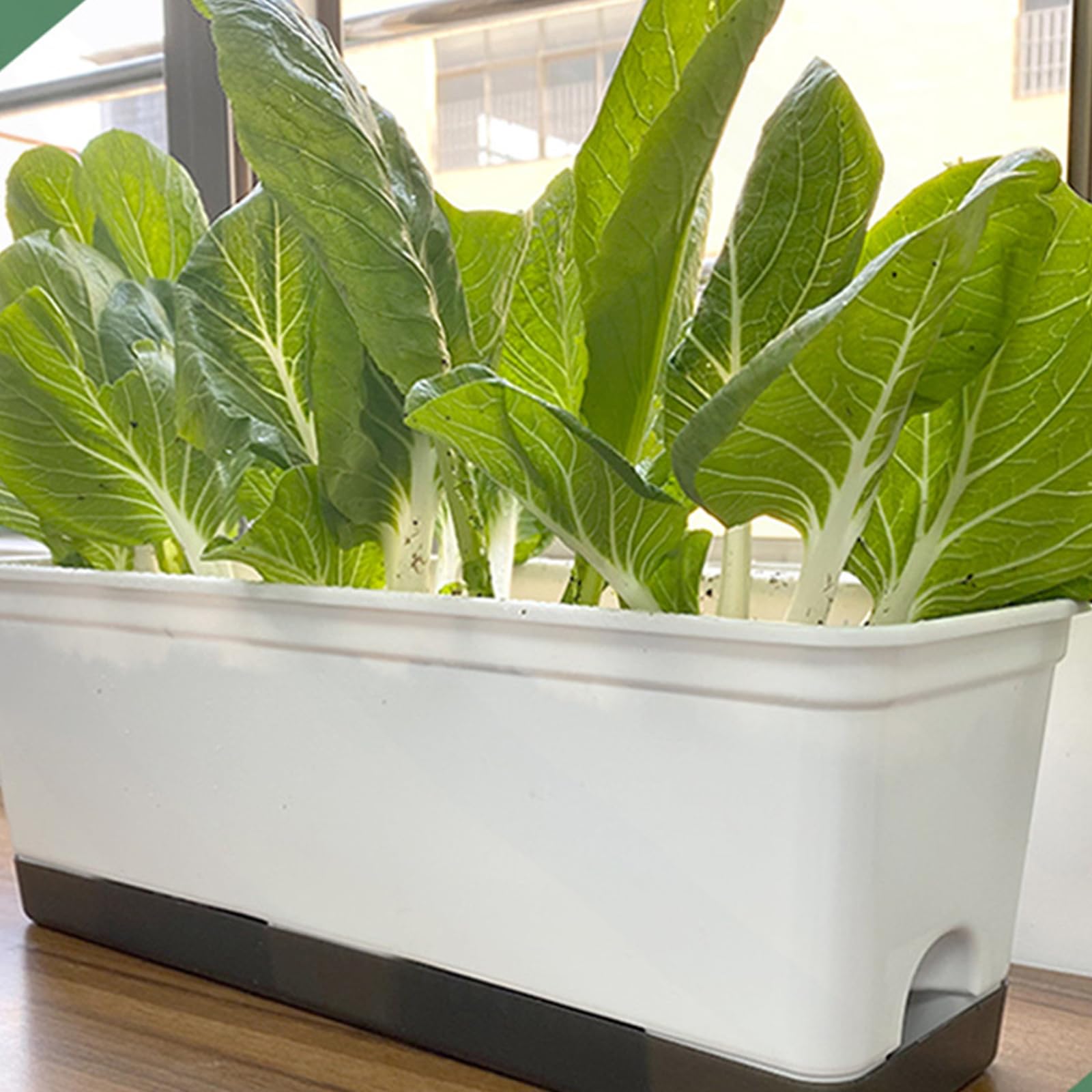 Jardinière à légumes à arrosage automatique, 2 tailles, en plastique, avec système de drainage pour balcon, terrasse, fleurs, culture d'herbes aromatiques (petit)