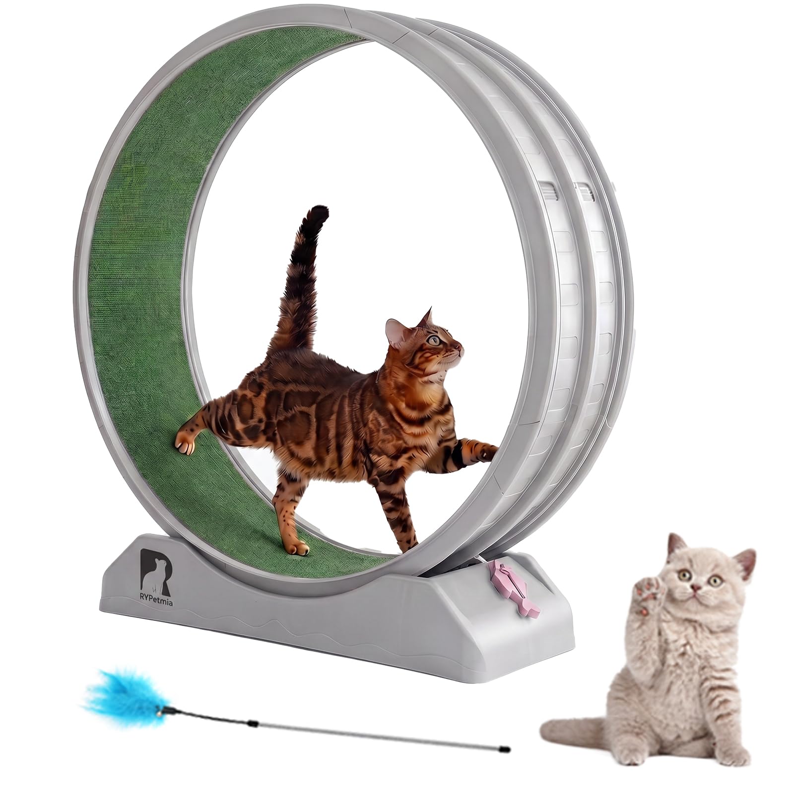 Cat Exercise Wheel, 31.5 Inch Indoor Treadmill for Cats with Carpeted Runway, Screw-Fixed Assembly for Easy Setup