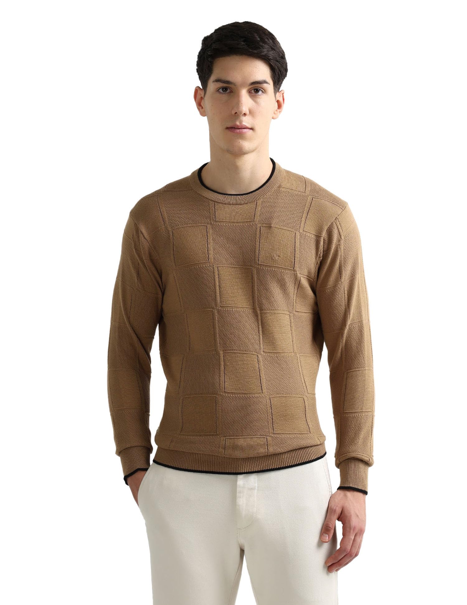 arrow Men's Regular Fit Pullover Sweater-picture-45