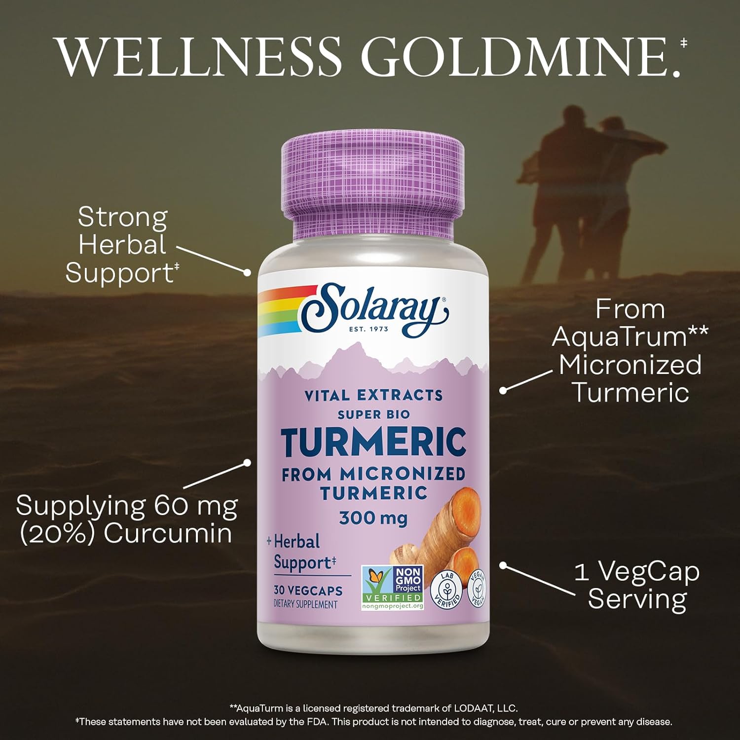 SOLARAY Super Bio Turmeric Curcumin Supplement 300mg - from Micronized Turmeric Root Extract - with 20% Curcumin for Wellness Support - Non-GMO, Vegan, Lab Verified, 60-Day Guarantee, 30 Servings