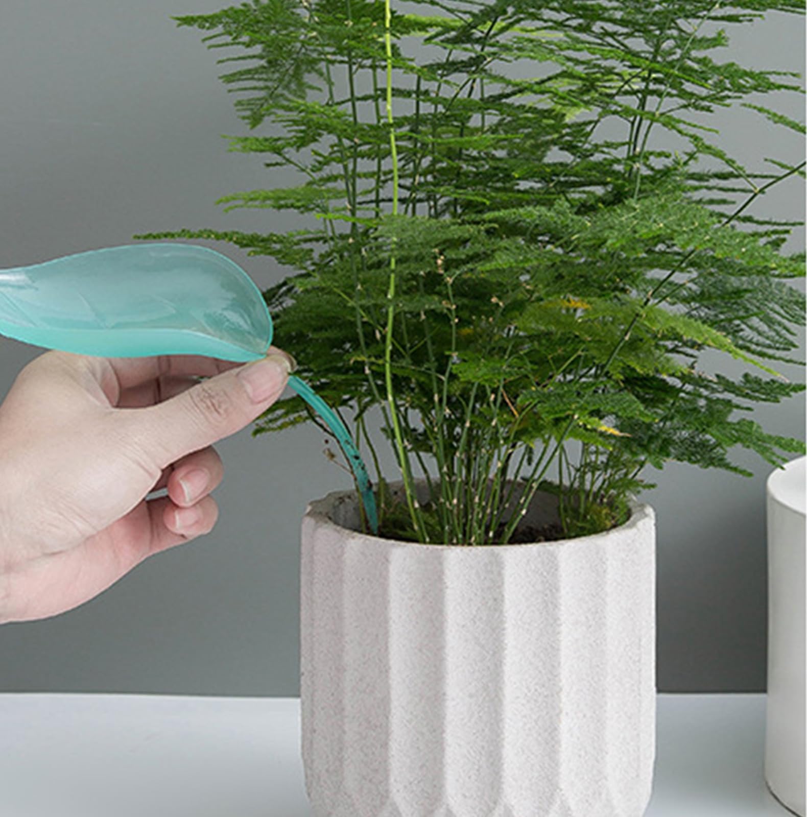 Pflanzen Wasserspender, WJUAN 9 Stück Gießblätter 3 Farben, Lustige Bewässerungssystem für Pflanzen Kunststoff, Humanisiertes Leuchtendes Design, für Innen Außenpflanzen