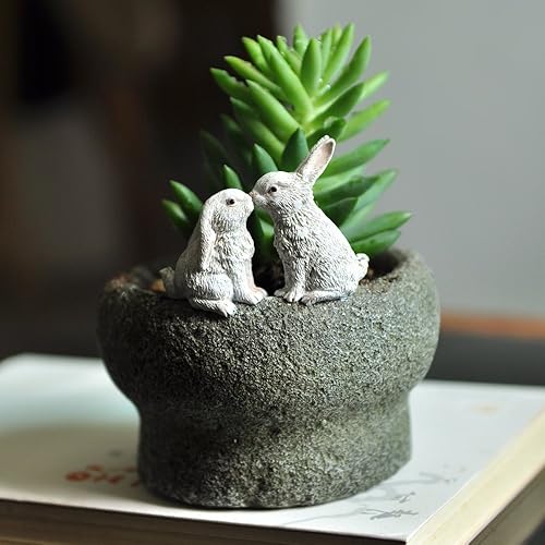 Miniatura 2 de Top Collection Jardín de hadas en miniatura y terrario conejitos besándose en maceta de piedra funcional para suculentas, 4.75 pulgadas